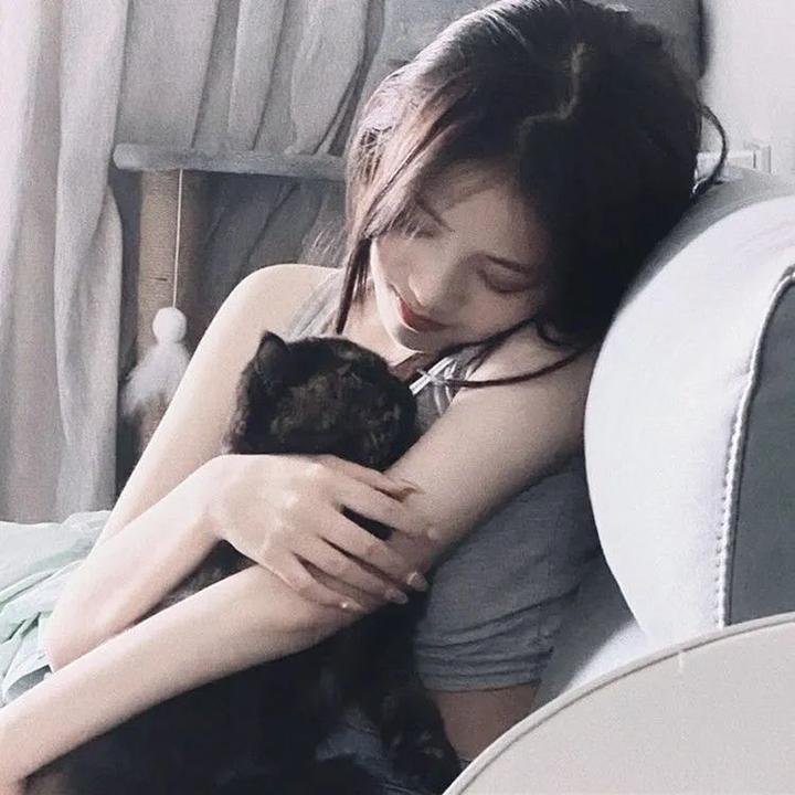爱猫之城